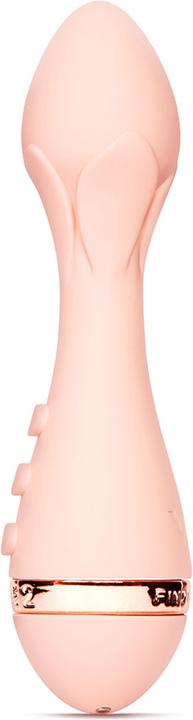 Actual product image Vush Rose 2