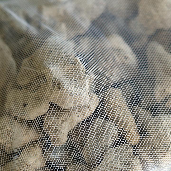 Produktbild SunSun 0,5kg Aquarium Korallensand sehr grob Besiedlung nitrifizierender Bakterien (Wasserpflege Aquarium)