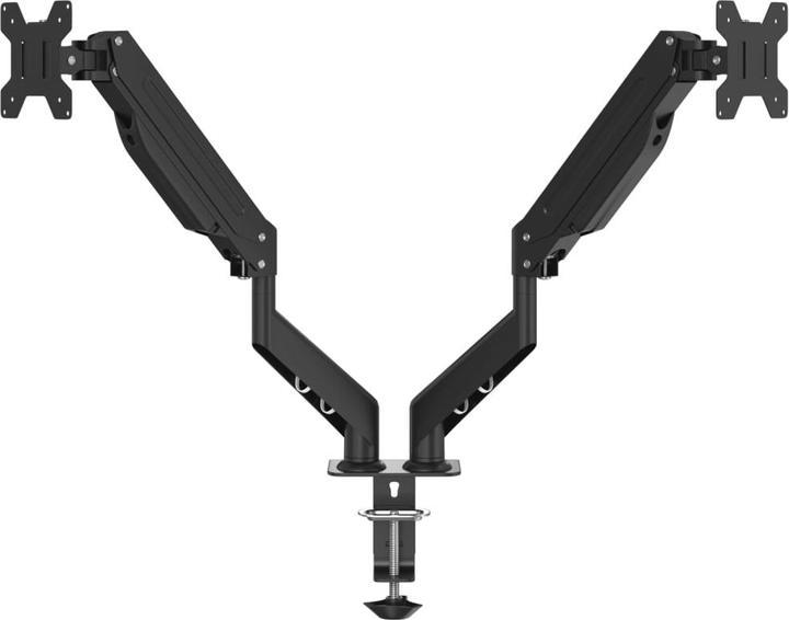 Actual product image VidaXL Double monitor arm for max 27 inch VESA 75/100 mm 20 kg (27")