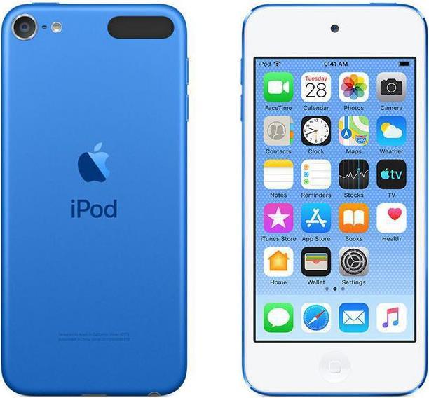 Actual product image Apple iPod touch 7th Gen (256 GB)