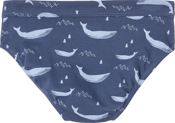 Immagine prodotto Vertbaudet Confezione da 7 slip da ragazzo in cotone biologico, balene (158, Confezione da 7)