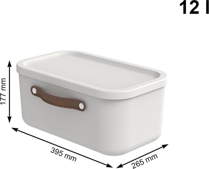 Produktbild Rotho Maloja (39.5 x 26.5 x 18 cm, 12 l)