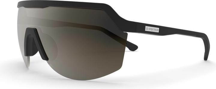 Image du produit Blank Sunglasses (verre polarisé marron)