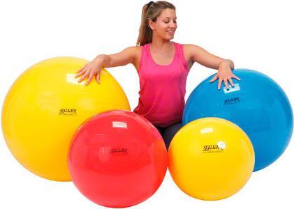Actual product image Ledraplastic Gymnic exercise ball, ø 55 cm, red (55 cm)