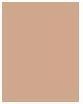 Actual product image Sensai Silky Bronze Natural Veil Compact (SC02 Naturel)