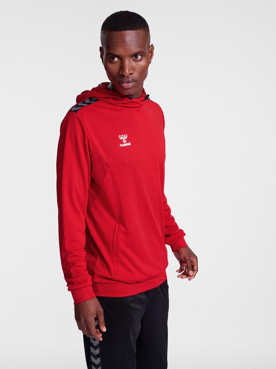 Actual product image hummel Hmlauthentic Pl Hoodie (M)