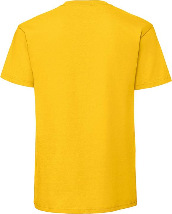 Actual product image Fruit of the Loom Mens Ringspun Premium T-Shirt (3XL)