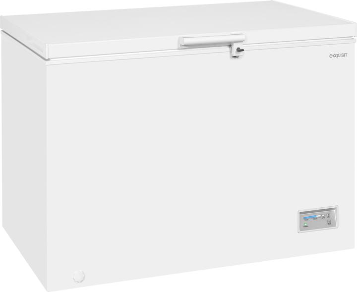 Exquisit GT320-HE-040E (Freistehend, 308 l)