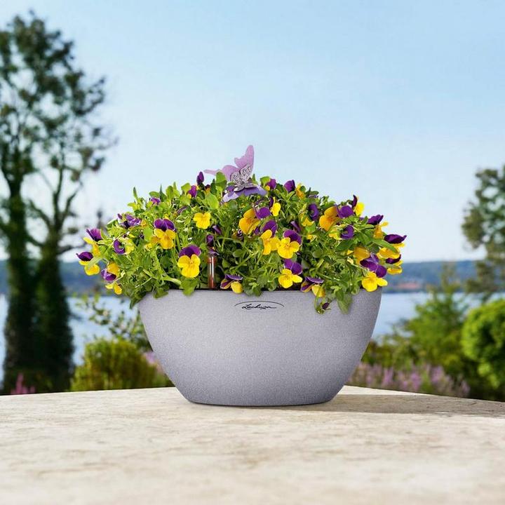 Actual product image Lechuza Cubeto Color (40 cm)