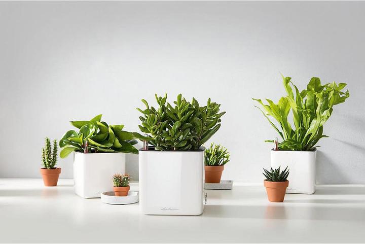 Produktbild Lechuza Cube Glossy 14 (14 cm)
