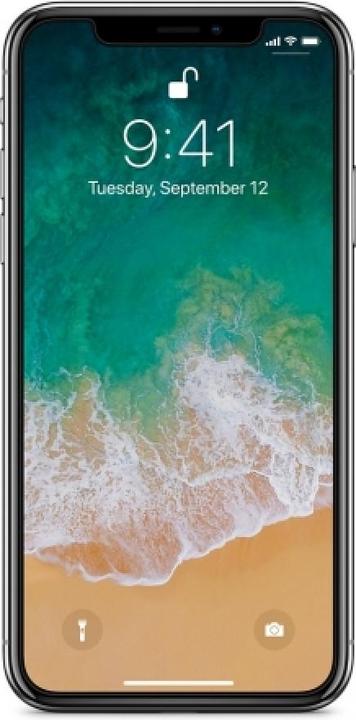Actual product image Screenguard 100% Display Protection Film Apple iPhone XS Crystal Clear (1 Piece, Apple iPhone XS)