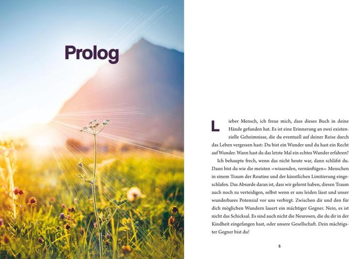Produktbild Wunderwerk (Deutsch, Veit Lindau, 2021)