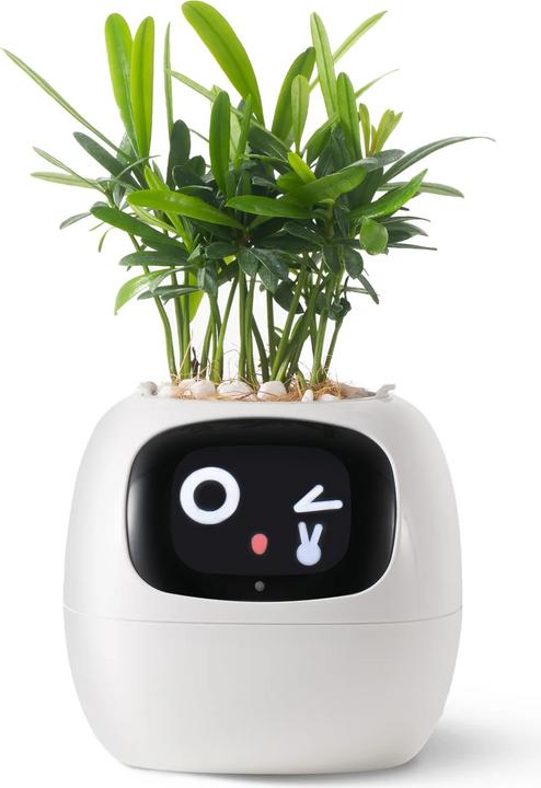 Plantsio Fioriera intelligente per edera