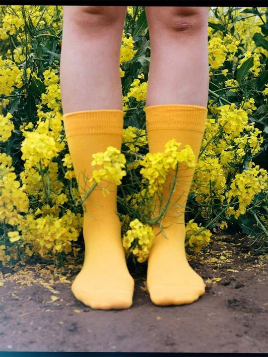 Produktbild DillySocks D-Compose (2er Pack, 35 - 38)
