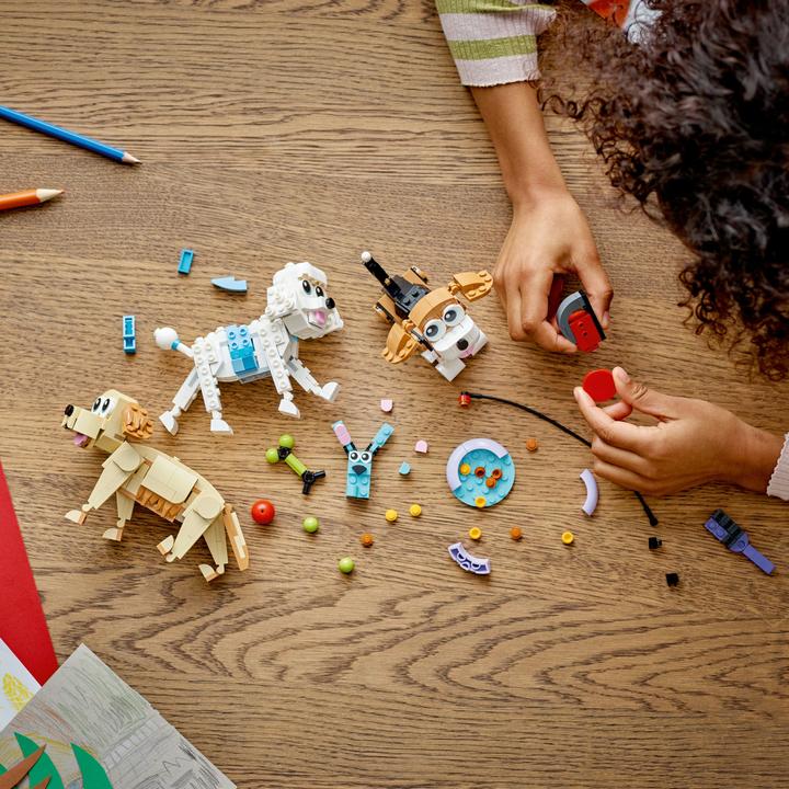 Image du produit LEGO 31137 Chiens adorables (31137, LEGO Creator 3-in-1)