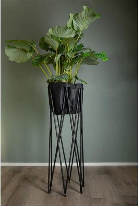 Image du produit Neogard Pied pour plantes Seda 100, noir