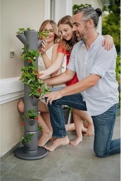 Actual product image Gusta Garden Sissi Strawberry (27 cm)