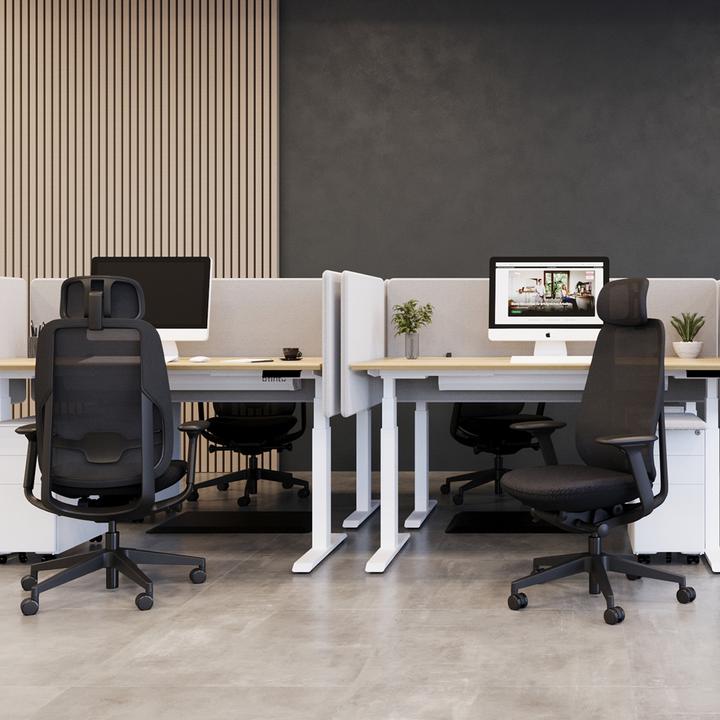 Produktbild ofinto Premium Cloud