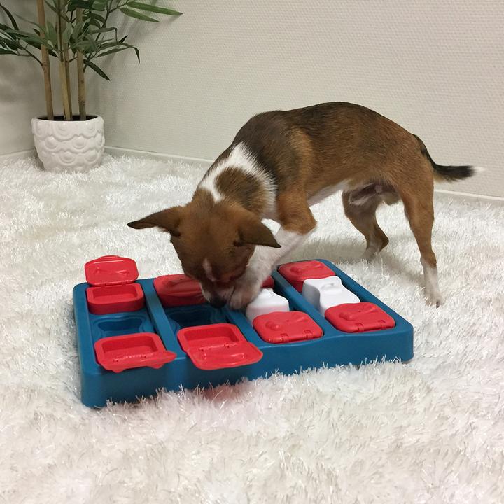 Actual product image Nina Ottosson dog brick (Intelligence toy dog)