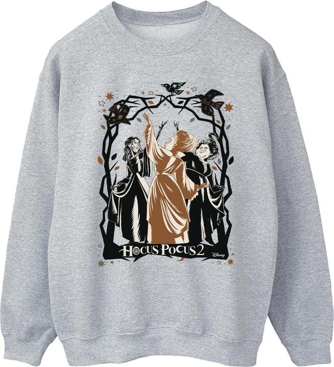 Actual product image Disney Mens Hocus Pocus Birds Sweatshirt (L)