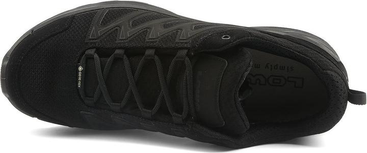 Image du produit Lowa Innox Pro GTX LO TF (42)