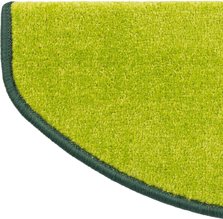 Immagine prodotto Floordirekt Dynasty Protect (19 x 56 cm)