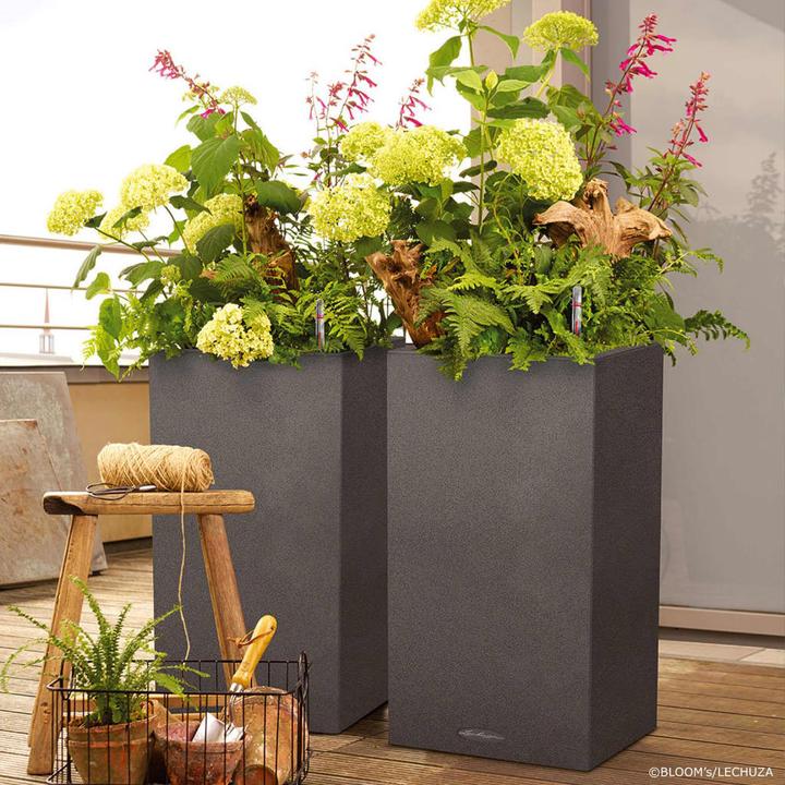 Actual product image Lechuza Canto Stone (40 cm)