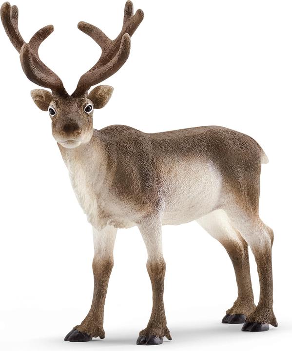 Produktbild Schleich Rentier