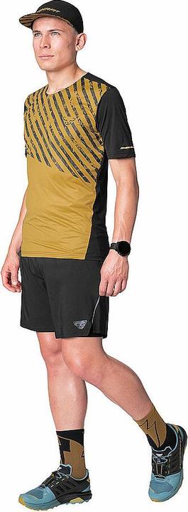 Actual product image Dynafit Alpine Shirt Herren (XXL)