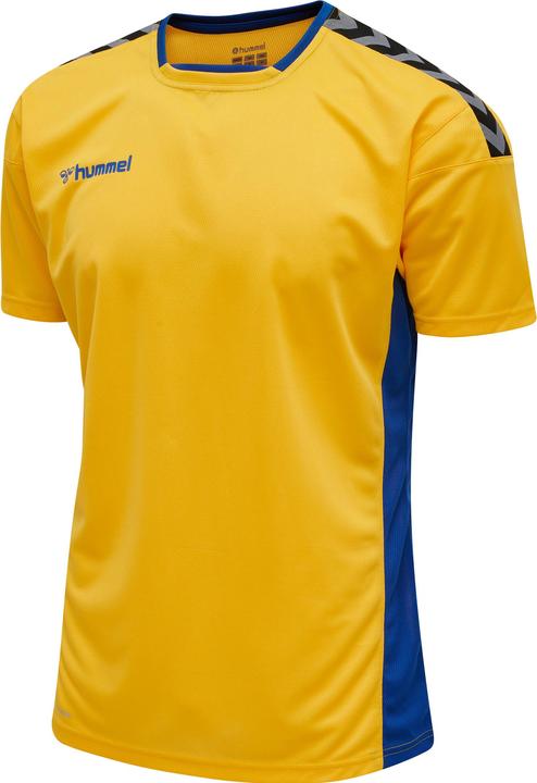 hummel Authentic Poly Jersey S/S (L)