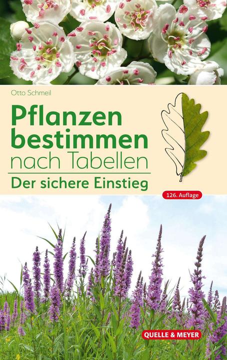 Immagine prodotto Schmeil:Pflanzen bestimmen nach Tabelle (Tedesco, Otto Schmeil, Michael Koltzenburg, 2024)