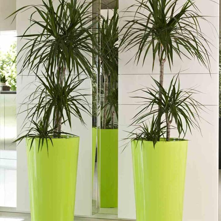 Immagine prodotto Euro3plast Tuit (33 cm)