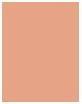 Immagine prodotto Shiseido Soluzione futura LX (R4 Rose)