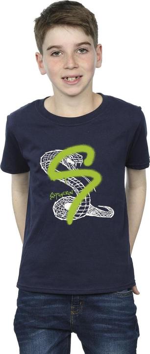 Actual product image Boys Slytherin Pop Spray T-Shirt (152, 158)