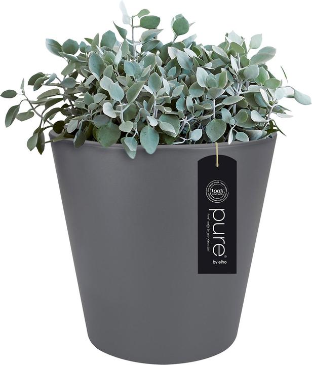 Produktbild Elho Pflanzkbel Pure straight round Kunststoff 65 H 68,5 cm anthrazit (64 cm)