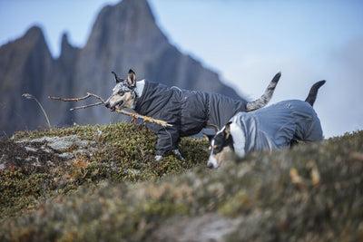Actual product image Hurtta Extreme (50, Dog coat)