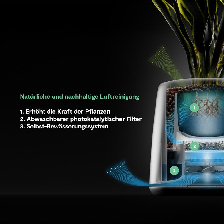 Image du produit Vitesy Natede Smart (20 m²)