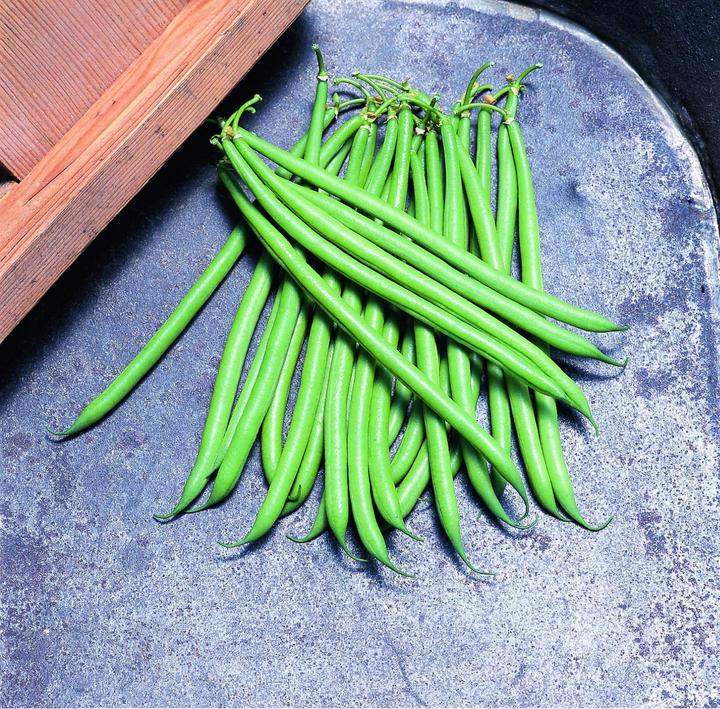 Produktbild Zollinger Bio Buschbohne, Pongo (Pflanzensamen)