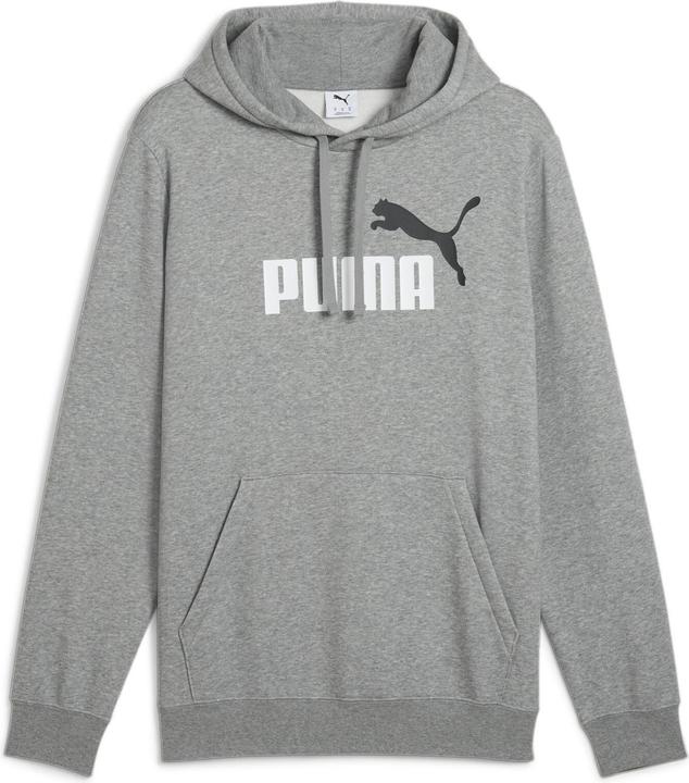 Puma ESS 2 COLOR No. 1 Logo Hoodie FL