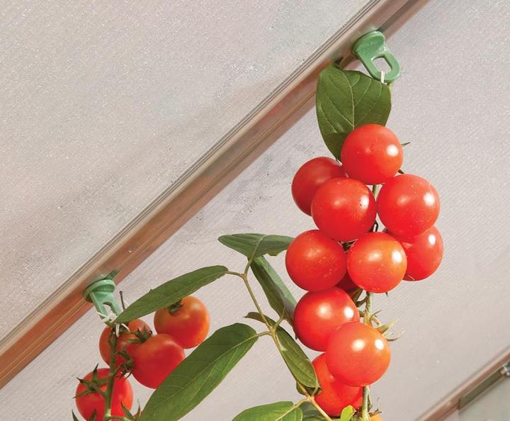 Produktbild Palram Pflanzenhänger