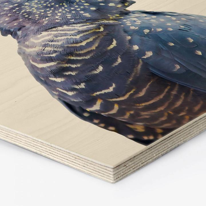 Produktbild Trenddeko Blauer Kakadu (25 x 22 cm)