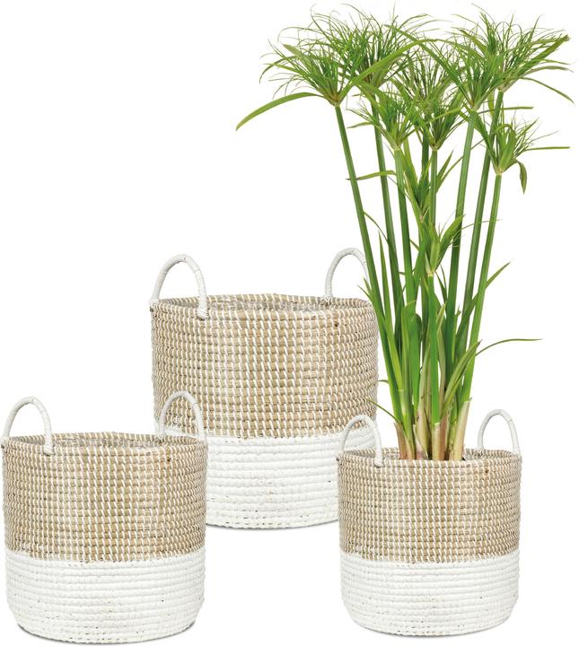 Immagine prodotto Scheurich Seagrass 27, cesto portavaso con manici in Seagrass Colore: Nature Wh (27 cm)
