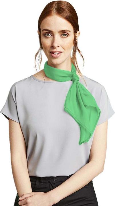 Actual product image Premier Chiffon scarf chiffon scarf