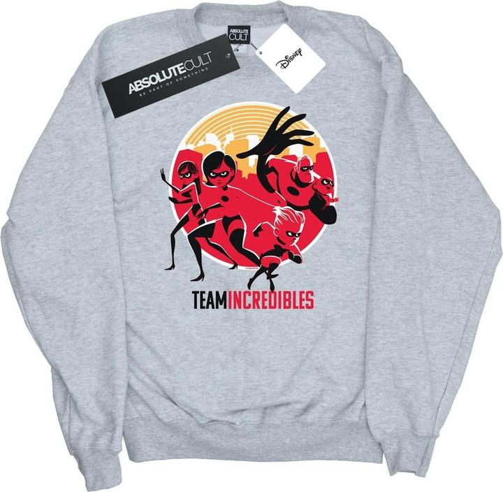 Actual product image Disney Womens/Ladies Incredibles 2 Team Incredibles Sweatshirt (L)