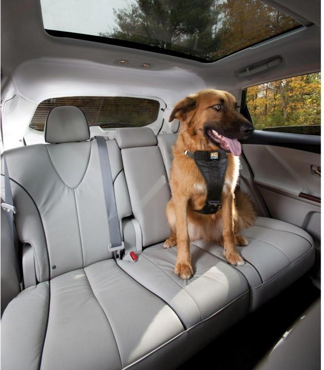 Actual product image Kurgo Tru-Fit (L, Dog, General)