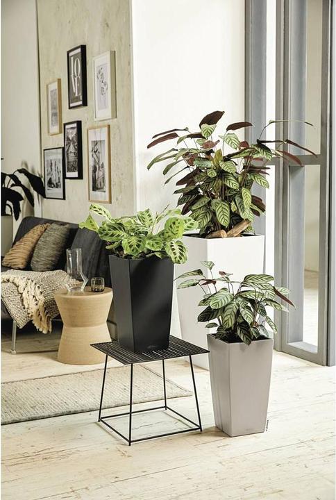 Produktbild Lechuza Cubico Color (29.50 cm)