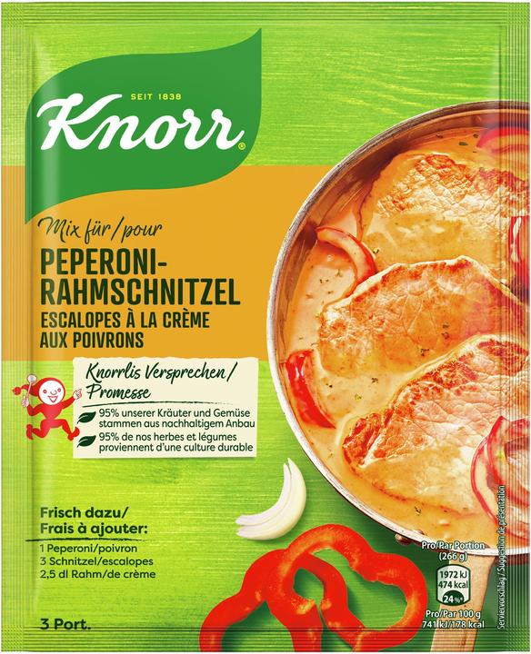 Knorr Trockensauce (33 g)