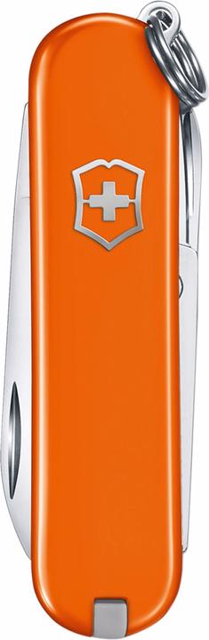 Immagine prodotto Victorinox Cellidor