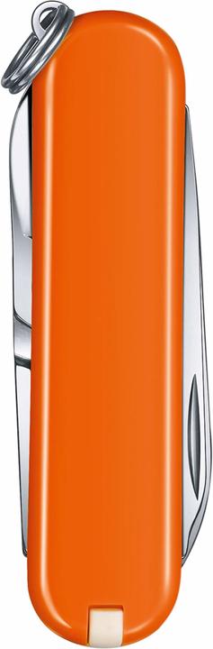 Immagine prodotto Victorinox Cellidor