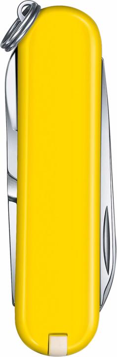 Immagine prodotto Victorinox SD classico